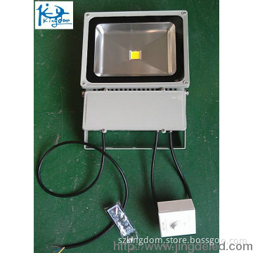 100W LED Dimmable Flood Light